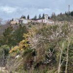 VELOBICI. GIRONA 2025