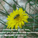 los sin nombre1 800x600