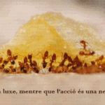 peuades damunt1 800x600