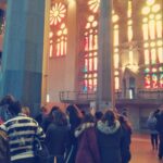 e07b1df9-aa3d-49eb-a7b3-167f6c5b752d