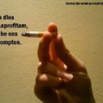 VII CONCURS D'AFORISMES FILOSÒFICS I FOTOGRAFIA