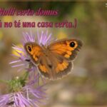 VII CONCURS D'AFORISMES FILOSÒFICS I FOTOGRAFIA