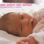 VII CONCURS D'AFORISMES FILOSÒFICS I FOTOGRAFIA