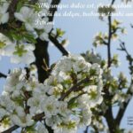 VII CONCURS D'AFORISMES FILOSÒFICS I FOTOGRAFIA