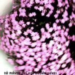 VII CONCURS D'AFORISMES FILOSÒFICS I FOTOGRAFIA