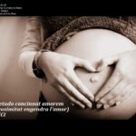 VII CONCURS D'AFORISMES FILOSÒFICS I FOTOGRAFIA