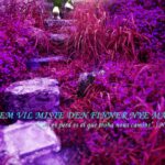 VIII CONCURS D'AFORISMES FILOSÒFICS I FOTOGRAFIA