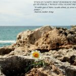 VIII CONCURS D'AFORISMES FILOSÒFICS I FOTOGRAFIA