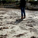 VIII CONCURS D'AFORISMES FILOSÒFICS I FOTOGRAFIA