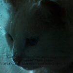 VIII CONCURS D'AFORISMES FILOSÒFICS I FOTOGRAFIA