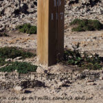 VIII CONCURS D'AFORISMES FILOSÒFICS I FOTOGRAFIA