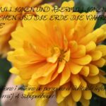 VIII CONCURS D'AFORISMES FILOSÒFICS I FOTOGRAFIA