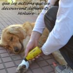 VIII CONCURS D'AFORISMES FILOSÒFICS I FOTOGRAFIA