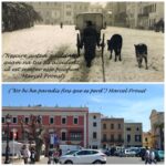 VIII CONCURS D'AFORISMES FILOSÒFICS I FOTOGRAFIA