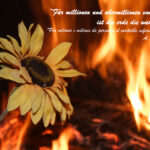 VIII CONCURS D'AFORISMES FILOSÒFICS I FOTOGRAFIA