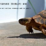 VIII CONCURS D'AFORISMES FILOSÒFICS I FOTOGRAFIA