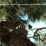 VIII CONCURS D'AFORISMES FILOSÒFICS I FOTOGRAFIA