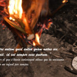 VIII CONCURS D'AFORISMES FILOSÒFICS I FOTOGRAFIA