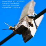 VIII CONCURS D'AFORISMES FILOSÒFICS I FOTOGRAFIA