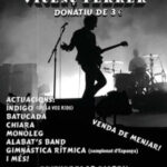 Gala benèfica a benefici de la fundació vicenç ferrer