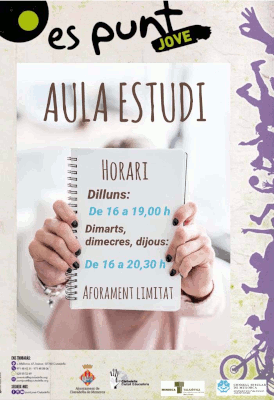 Aula estudi Punt Jove