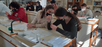 Taller biotecnologia14 petita