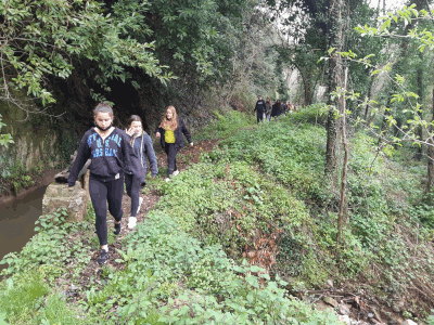 3a ruta 4