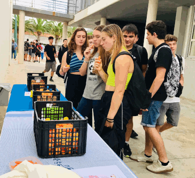 Berenars saludables 02