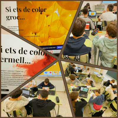 TEI De quin color som 2023 24