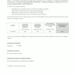 Resum definitiu dels alumnes seleccionats de grau bàsic ERASMUS+ 2023-2024