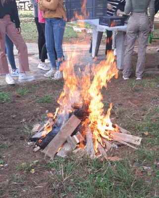 Torrada sobrassada 23 24 1