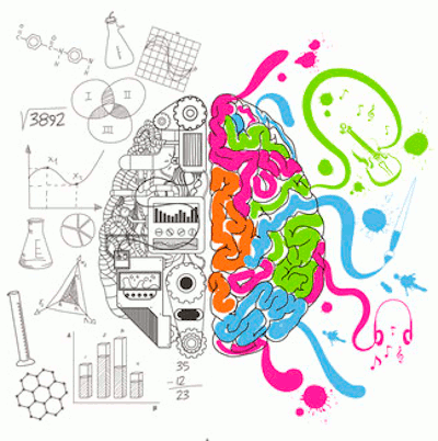 Programes interdisciplinaris 1r ESO