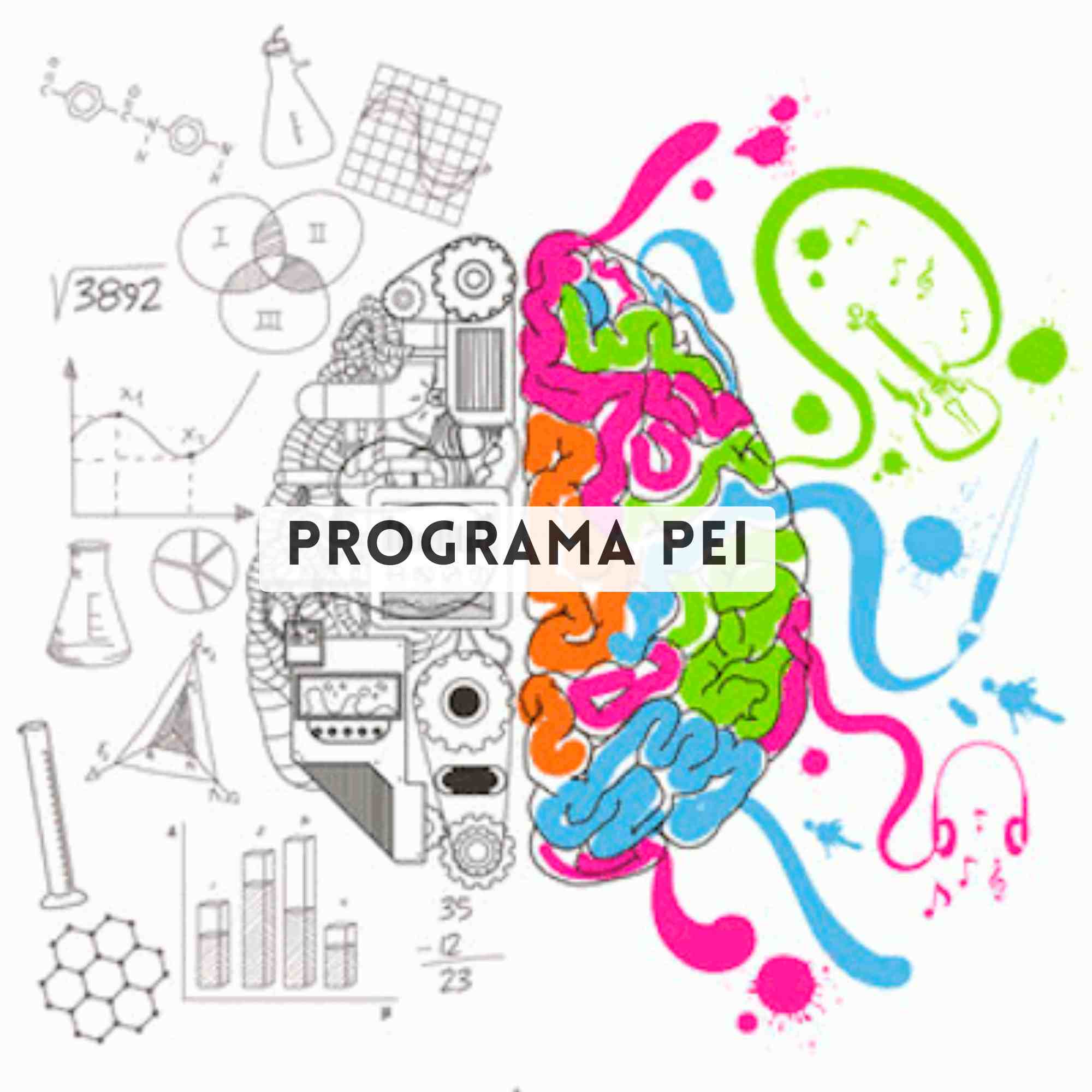 Programes interdisciplinaris 1r ESO